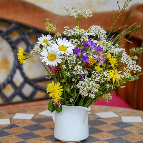 Blühender Wildkräuterstrauß in einer Vase zeigt die Vielfalt der Kräuter