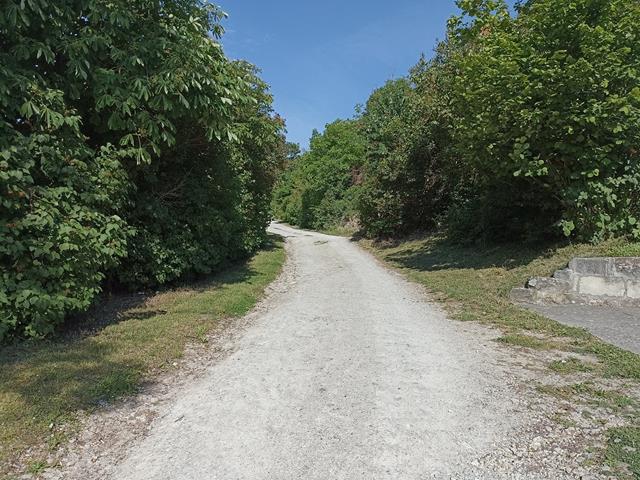 Stück des Rundwanderweges, auf dem die Kräuterwanderung stattfindet.